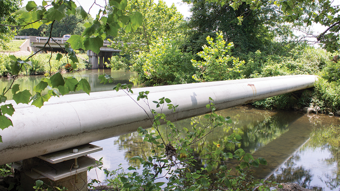 Turkey Creek WW Collection